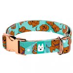 Vizsla, kék - Kutya Nyakörv - april & june