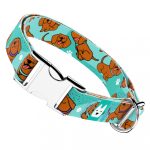 Vizsla, kék - Kutya Nyakörv - april & june