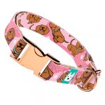 Vizsla, rózsaszín - Kutya Nyakörv - april & june