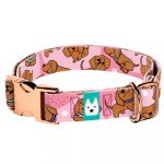 Vizsla, rózsaszín - Kutya Nyakörv - april & june