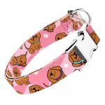 Vizsla, rózsaszín - Kutya Nyakörv - april & june