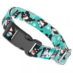 Border Collie, kék - Kutya Nyakörv - april & june