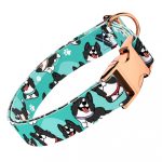 Border Collie, kék - Kutya Nyakörv - april & june