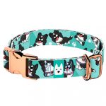 Border Collie, kék - Kutya Nyakörv - april & june