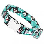 Border Collie, kék - Kutya Nyakörv - april & june