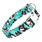 Border Collie, kék - Kutya Nyakörv - april & june