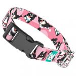 Border Collie, rózsaszín - Kutya Nyakörv - april & june