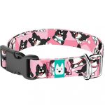 Border Collie, rózsaszín - Kutya Nyakörv - april & june