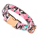 Border Collie, rózsaszín - Kutya Nyakörv - april & june