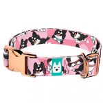 Border Collie, rózsaszín - Kutya Nyakörv - april & june