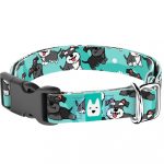 Schnauzer, kék - Kutya Nyakörv - april & june