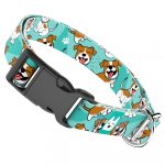 Jack russel terrier, kék - Kutya Nyakörv - april & june