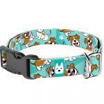 Jack russel terrier, kék - Kutya Nyakörv - april & june