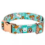 Jack russel terrier, kék - Kutya Nyakörv - april & june