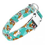 Jack russel terrier, kék - Kutya Nyakörv - april & june