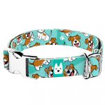 Jack russel terrier, kék - Kutya Nyakörv - april & june