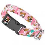 Jack russel terrier, rózsaszín - Kutya Nyakörv - april & june