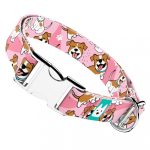 Jack russel terrier, rózsaszín - Kutya Nyakörv - april & june