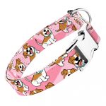 Jack russel terrier, rózsaszín - Kutya Nyakörv - april & june