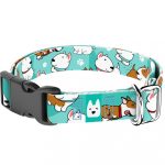 Bullterrier, kék - Kutya Nyakörv - april & june