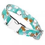 Bullterrier, kék - Kutya Nyakörv - april & june