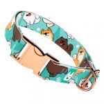 Spitz, kék - Kutya Nyakörv - april & june