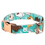 Spitz, kék - Kutya Nyakörv - april & june