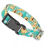 Golden retriever, kék - Kutya Nyakörv - april & june