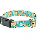 Golden retriever, kék - Kutya Nyakörv - april & june