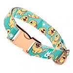 Golden retriever, kék - Kutya Nyakörv - april & june