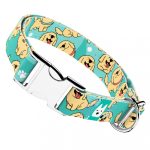 Golden retriever, kék - Kutya Nyakörv - april & june