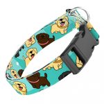 Labrador retriever, kék - Kutya Nyakörv - april & june