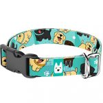 Labrador retriever, kék - Kutya Nyakörv - april & june