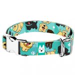 Labrador retriever, kék - Kutya Nyakörv - april & june