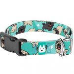 Mopsz, kék - Kutya Nyakörv - april & june