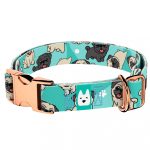 Mopsz, kék - Kutya Nyakörv - april & june