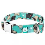 Mopsz, kék - Kutya Nyakörv - april & june