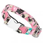 Mopsz, rózsaszín - Kutya Nyakörv - april & june