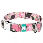 Mopsz, rózsaszín - Kutya Nyakörv - april & june