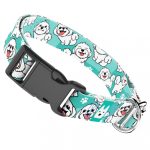 Bolognese, kék - Kutya Nyakörv - april & june