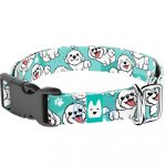 Bolognese, kék - Kutya Nyakörv - april & june