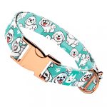 Bolognese, kék - Kutya Nyakörv - april & june