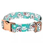 Bolognese, kék - Kutya Nyakörv - april & june