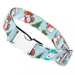 Vidám hóemberek - Kutya Nyakörv - april & june