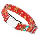 Boldog Ünnepek - Kutya Nyakörv - april & june