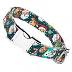 Mikulás és a rénszarvasok - Kutya Nyakörv - april & june