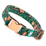 Karácsonyi Virágok - Kutya Nyakörv - april & june