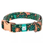 Karácsonyi Virágok - Kutya Nyakörv - april & june