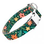 Karácsonyi Virágok - Kutya Nyakörv - april & june