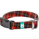 Klasszikus Piros Kockás - Kutya Nyakörv - april & june